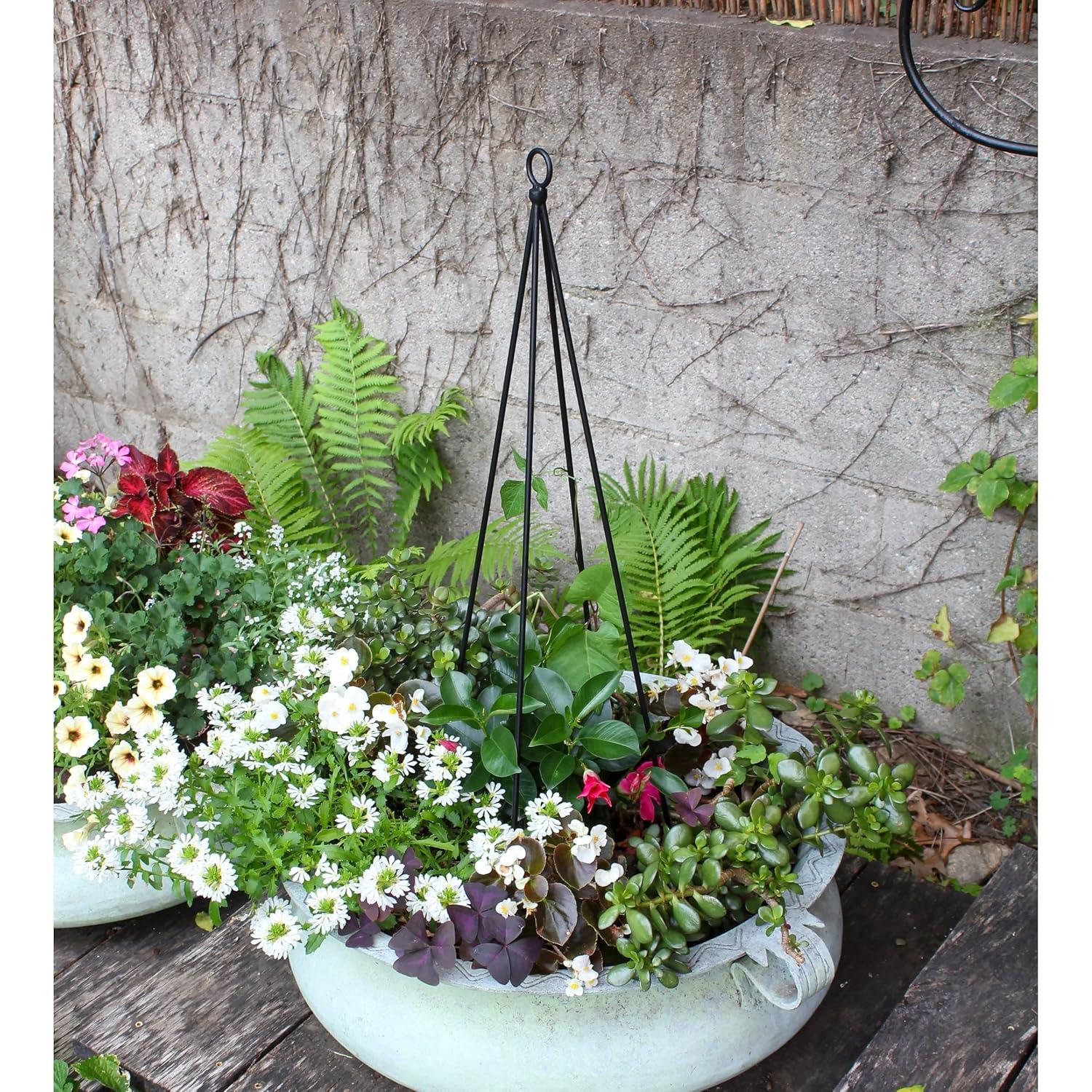 Freeport Park® 34'' H x 6'' W Metal Expanding Trellis