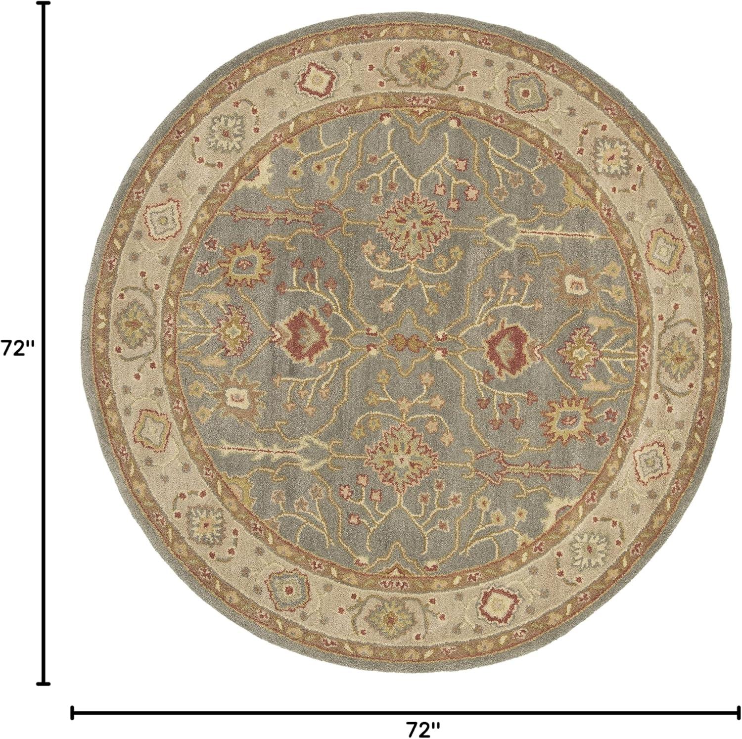 Antiquity AT314 Hand Tufted Area Rug  - Safavieh