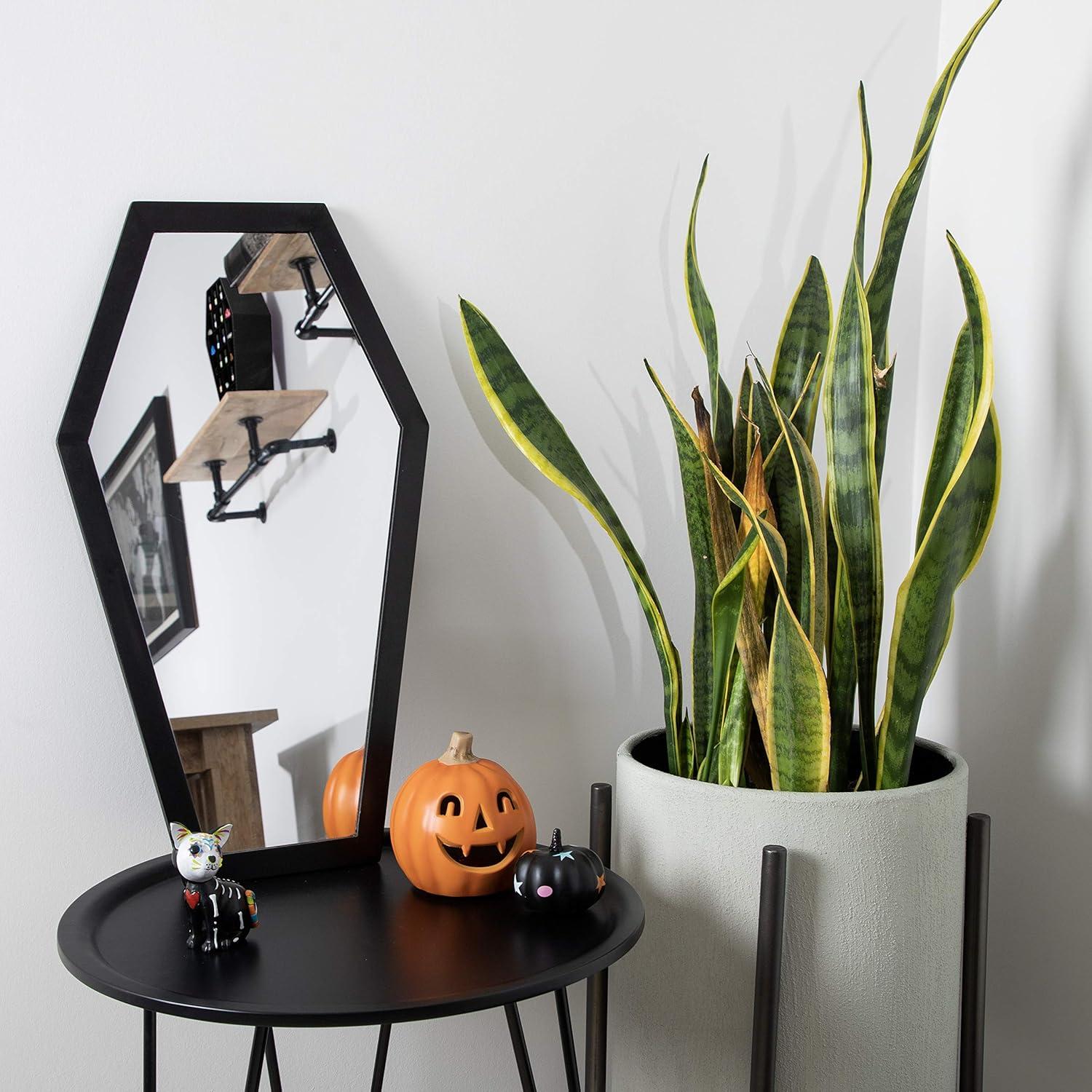 Coffin Mirror – 21 in., Decorative Mirror for Wall Decor, Living Room, Bedroom, Gifting, & More – Hang & Pair with a Coffin Shelf, & Witch Decor