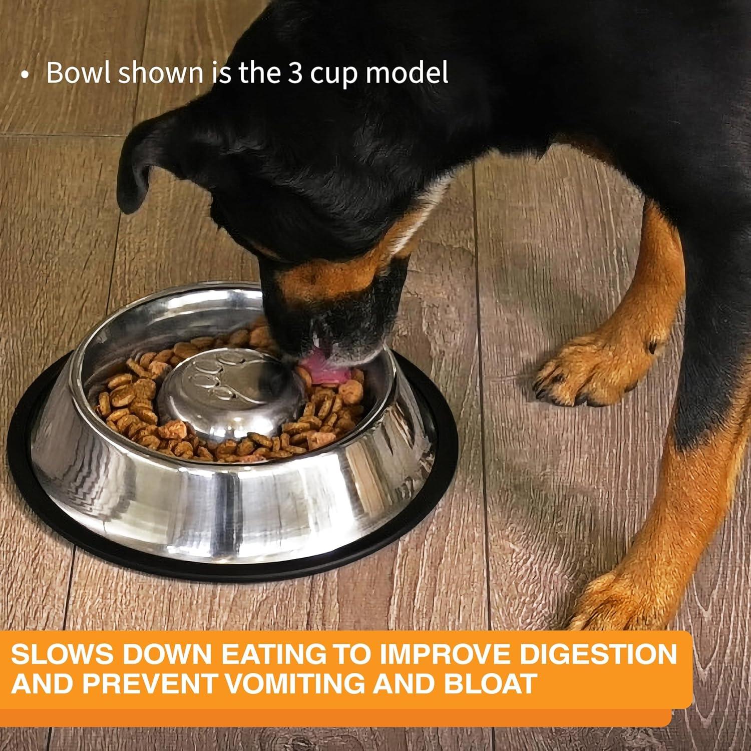 Neater Pets Stainless Steel Non-Tip Slow Feed Bowl - Improves Digestion, Stops Obesity, and Slows Down Eating, 1.5 Cup