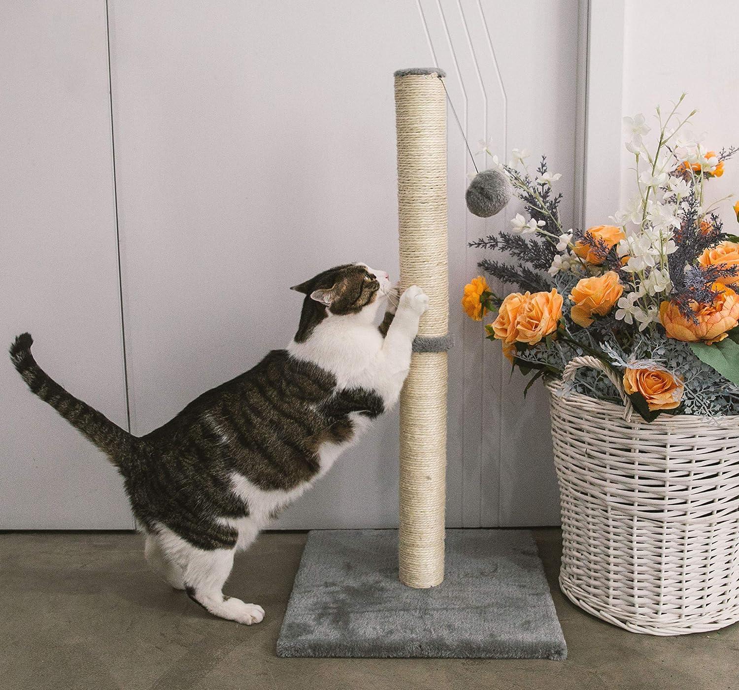 Tucker Murphy Pet™ 29" Tall Cat Scratching Post, Scratch Posts With Sisal Rope And Hanging Interactive Toy Ball For Indoor Cats And Kittens