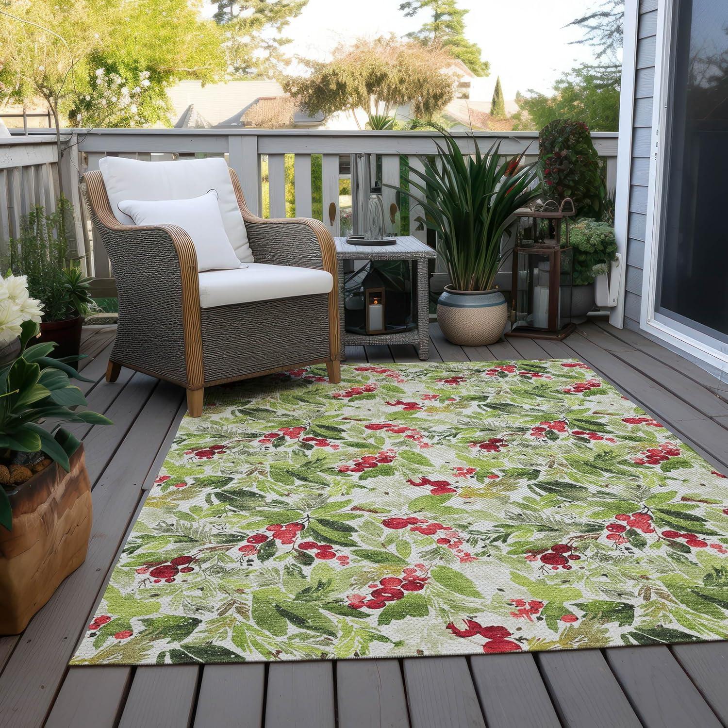 Aloe and Red Holly Berry Washable Synthetic Rug