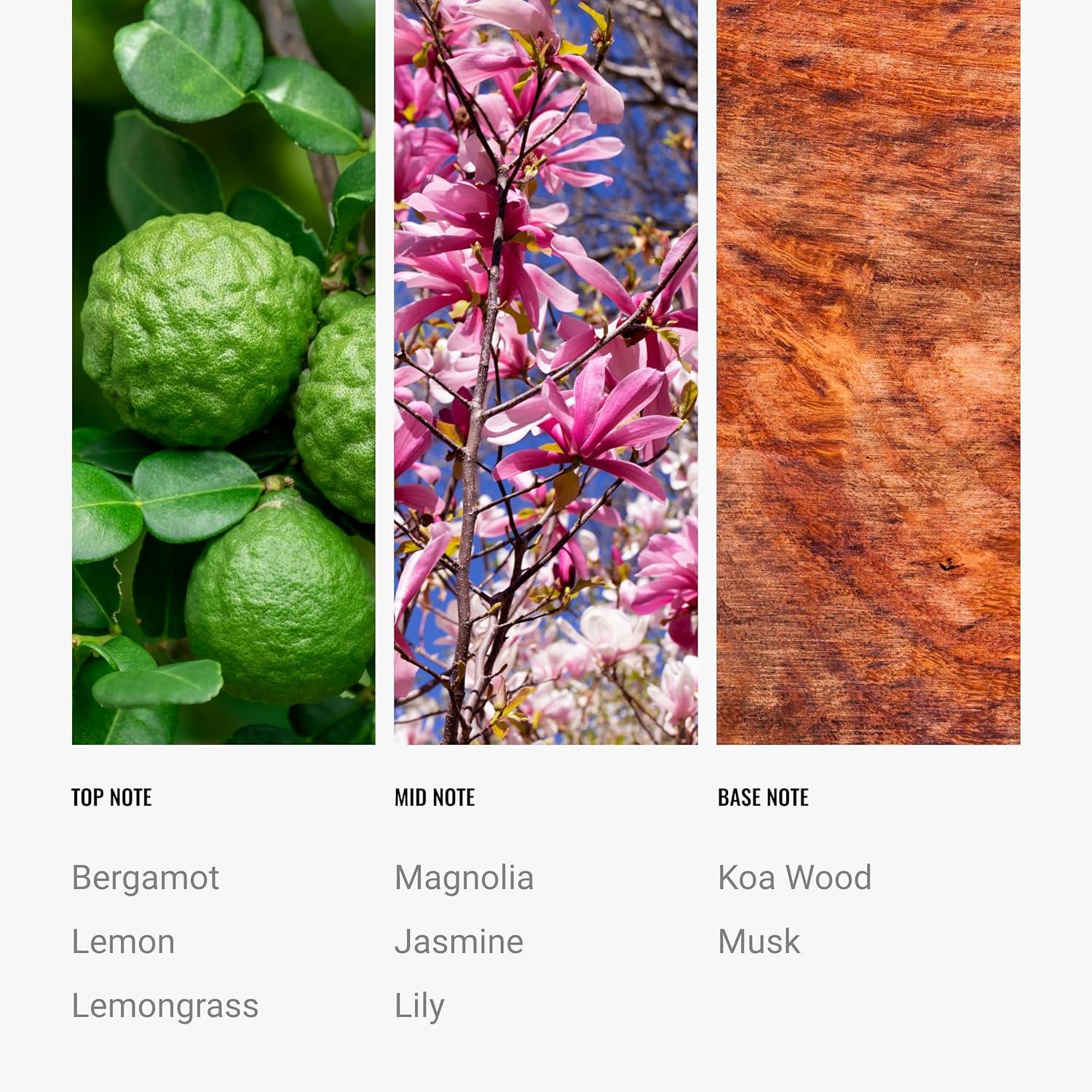 Hotel Collection | Capricorn Pro-Pod Oil Blend | Luxury Hotel Inspired Aromatherapy Scent Diffuser Oil | Lavender, Magnolia and Orris 1.7 fl oz 50 mL
