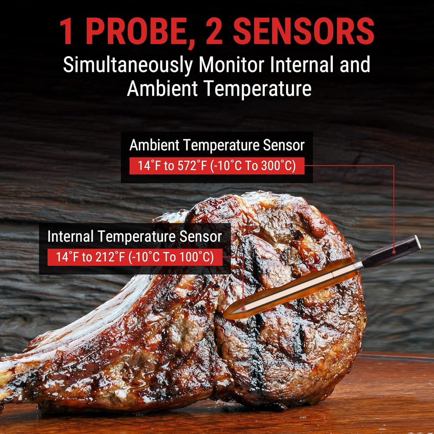 ThermoPro Thermometer