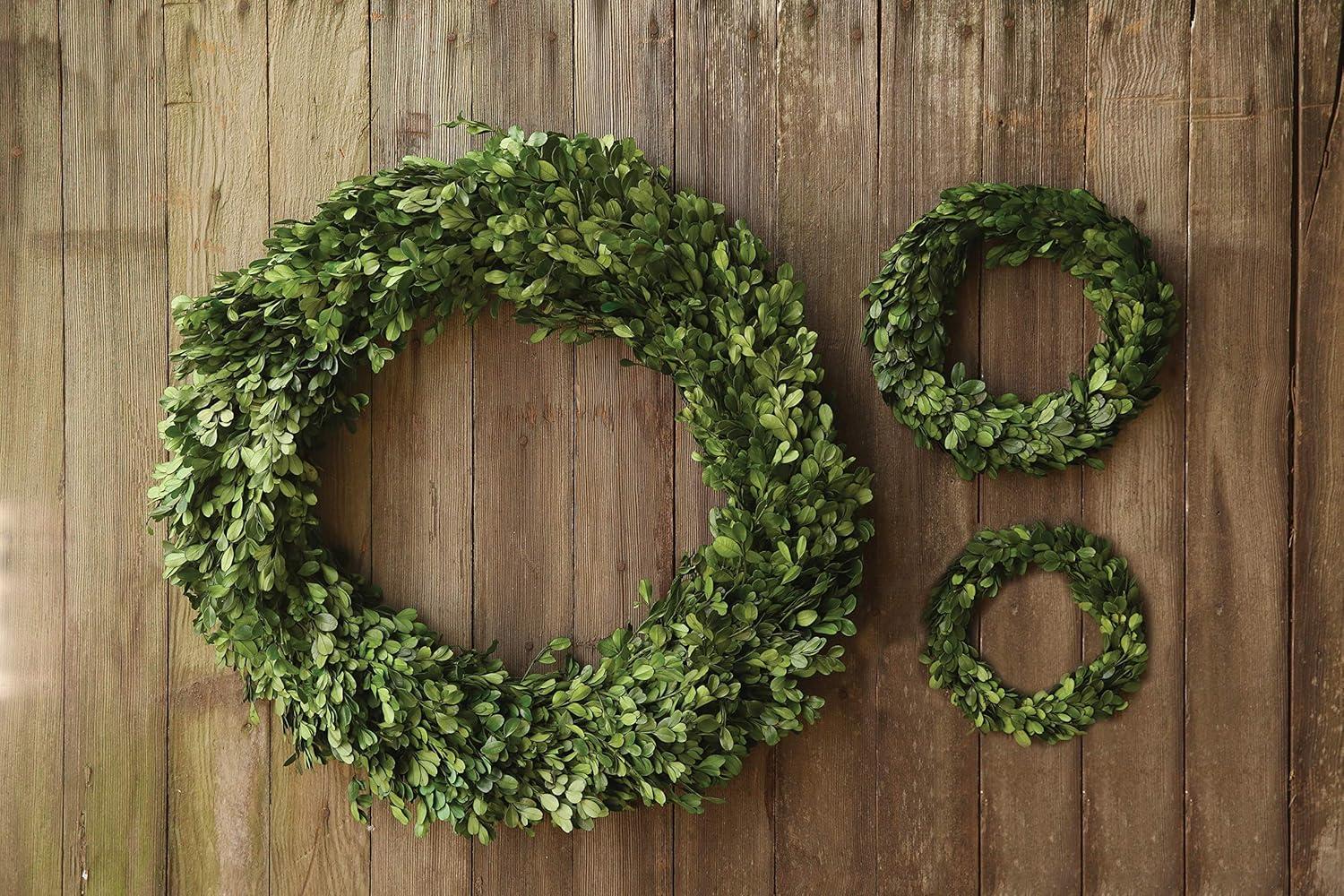 Storied Home Preserved Genuine Boxwood Wreath Green