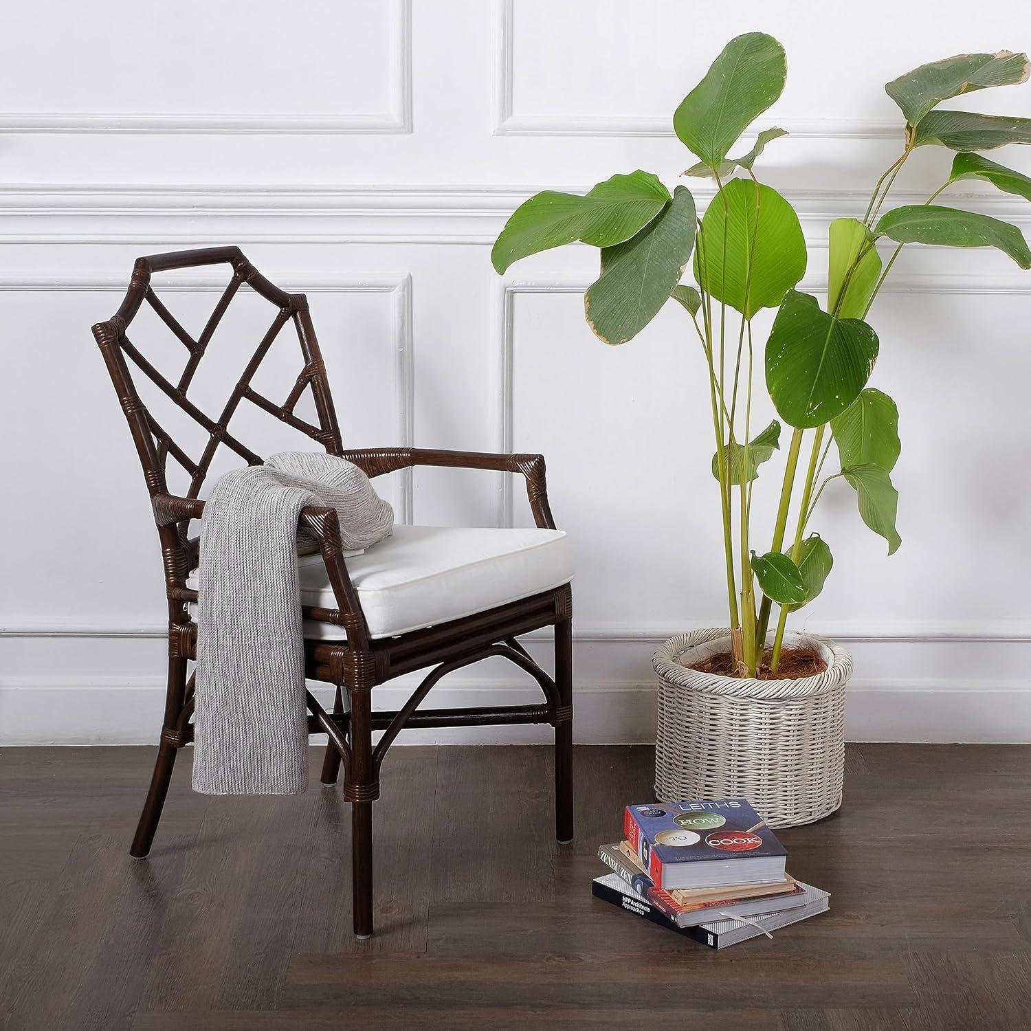 New Pacific Direct Kara 21" Fabric and Rattan Arm Chair in Paloma Brown