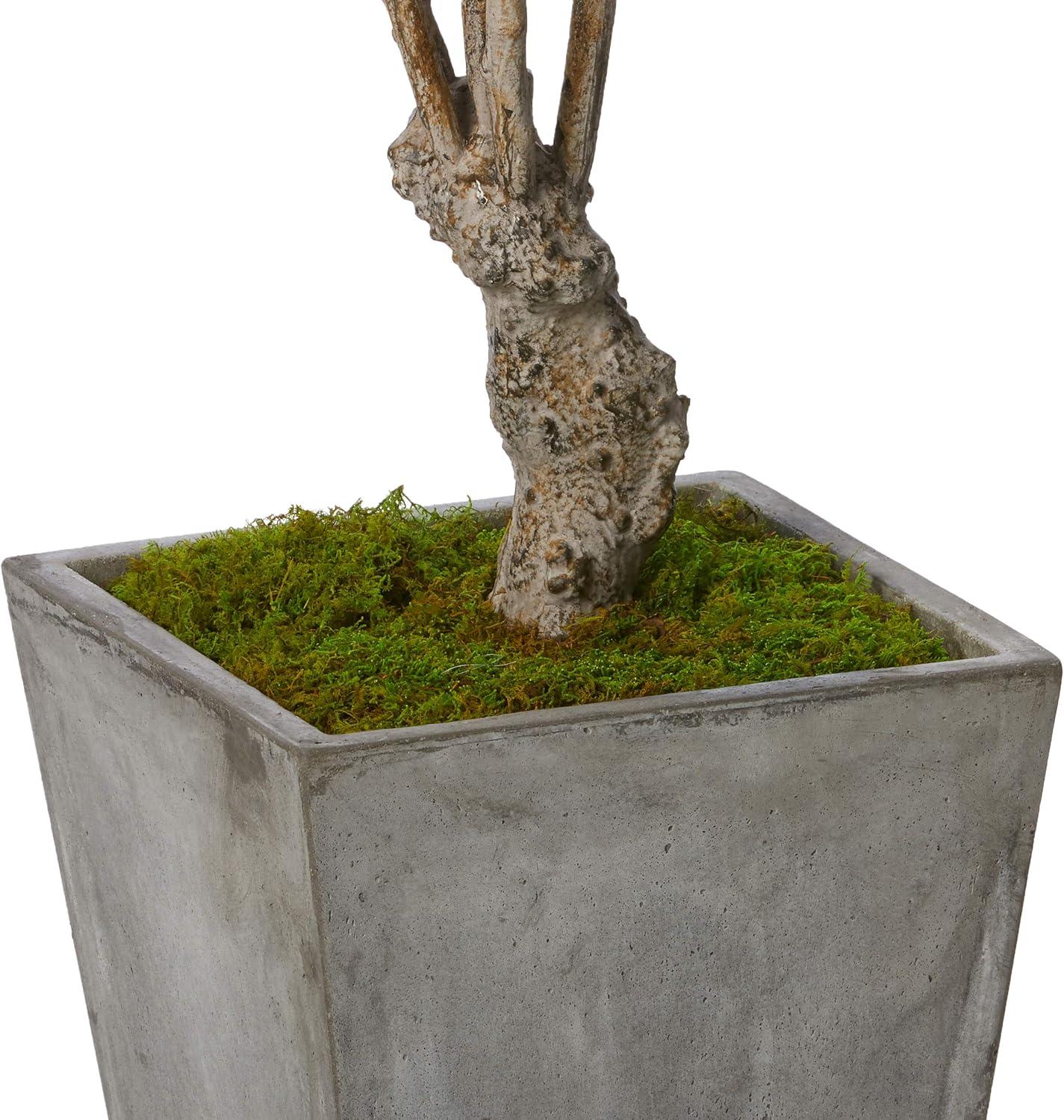 72" Artificial Olive Tree in Stone Planter - Nearly Natural