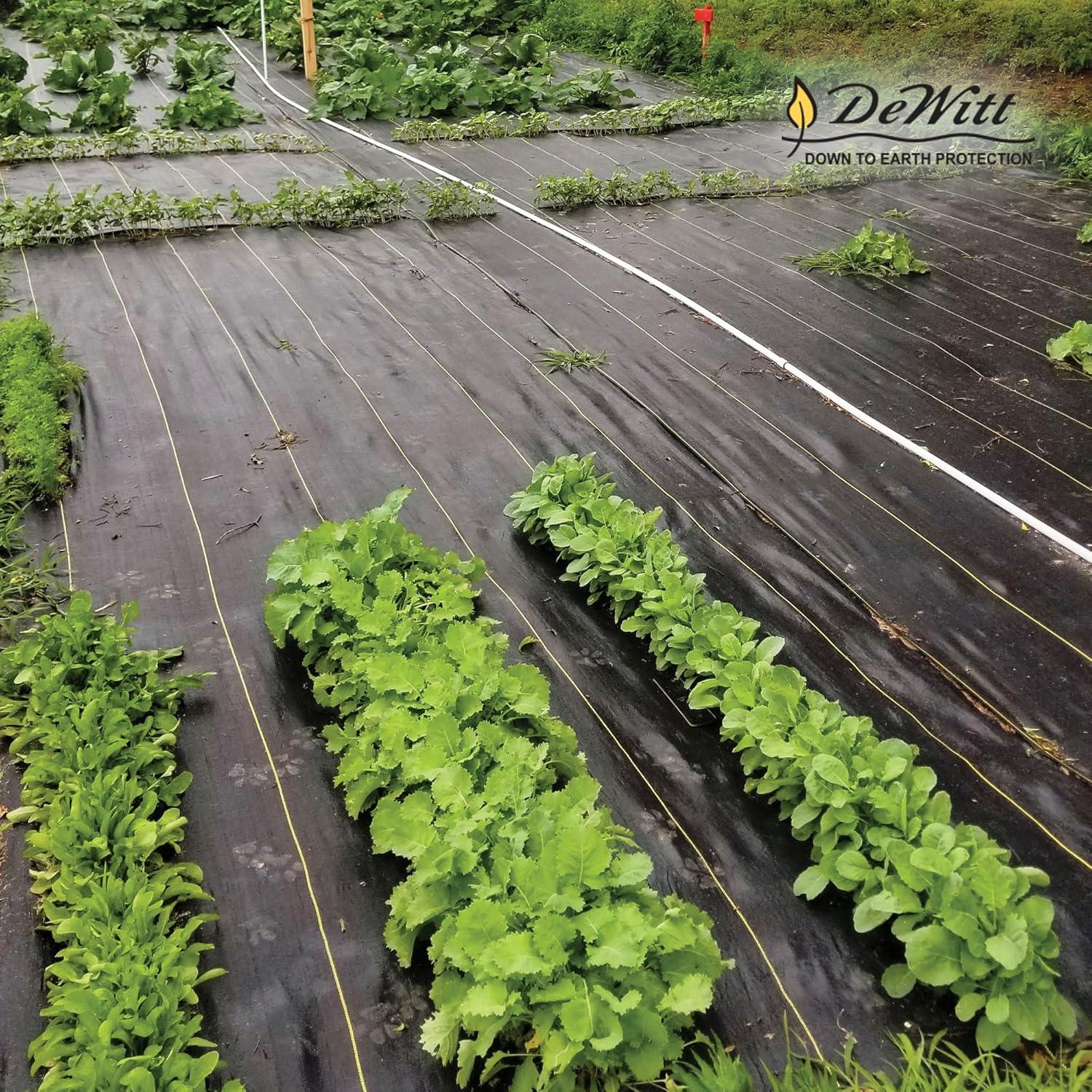 DeWitt Company, Inc. DeWitt Sunbelt Woven Weed Barrier Landscape Fabric Ground Cover (Set of 2)