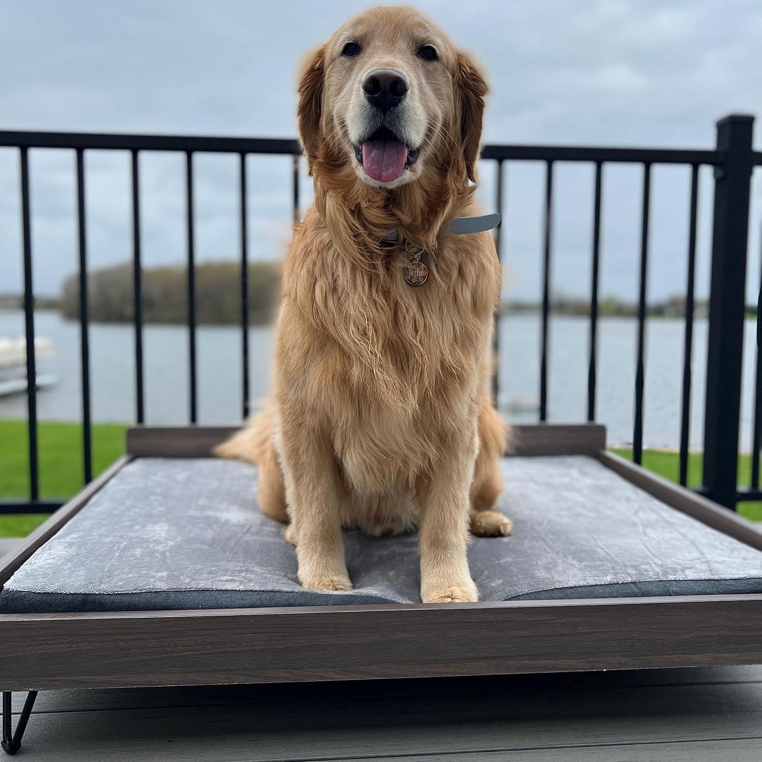 TailZzz Chase Greenguard Gold Certified Pet Bed with Mattress - Large to Extra Large Elevated Wooden Pet Bed with Water-resistant Mattress