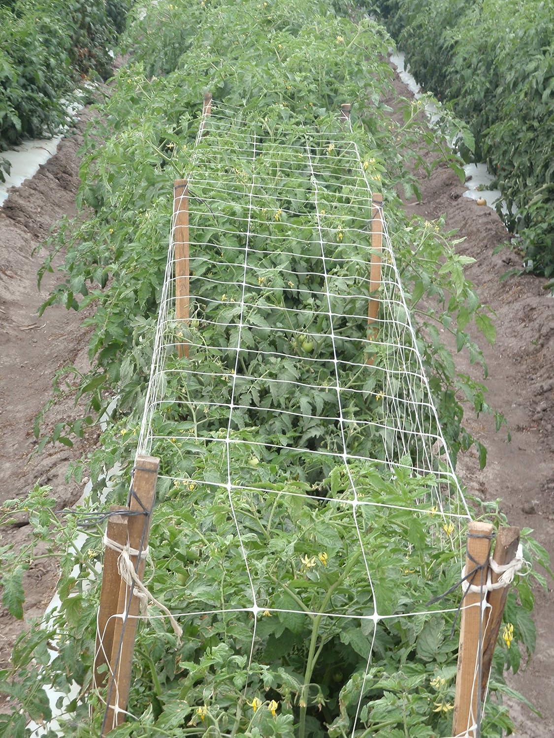 Hortonova Trellis Net LM 79-in x 500-ft White