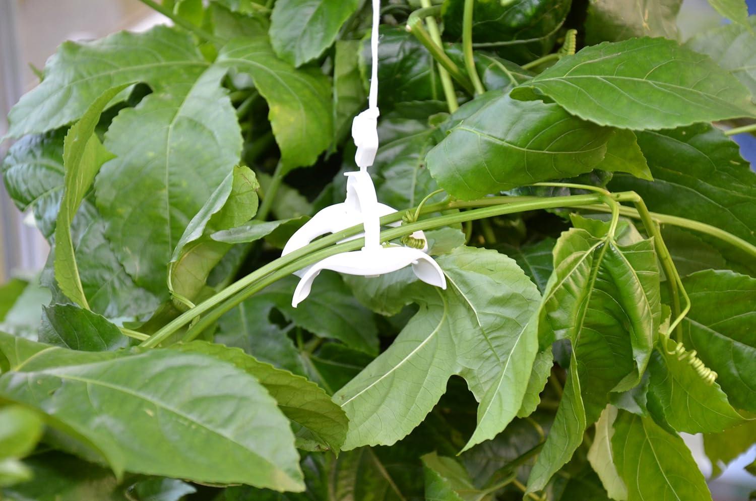 Canopia Palram - Canopia Greenhouse Trellising Kit