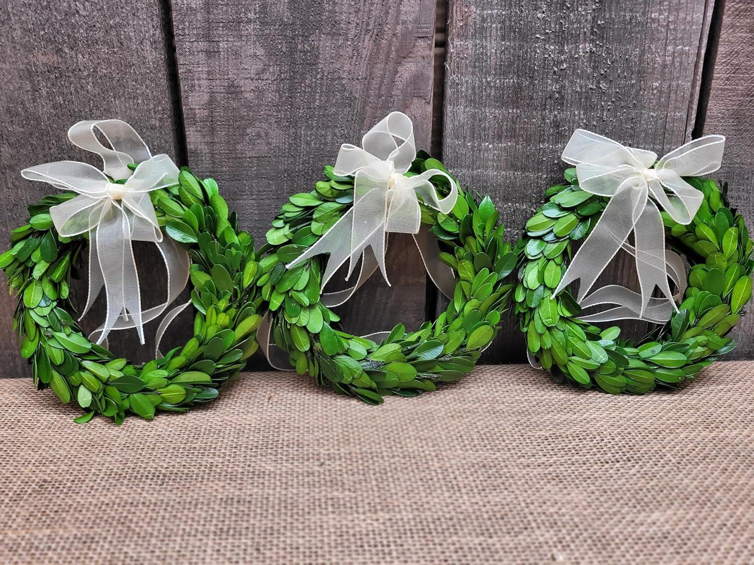 Ophelia & Co. Preserved Mixed Assortment 8'' Wreath (Set of 3)