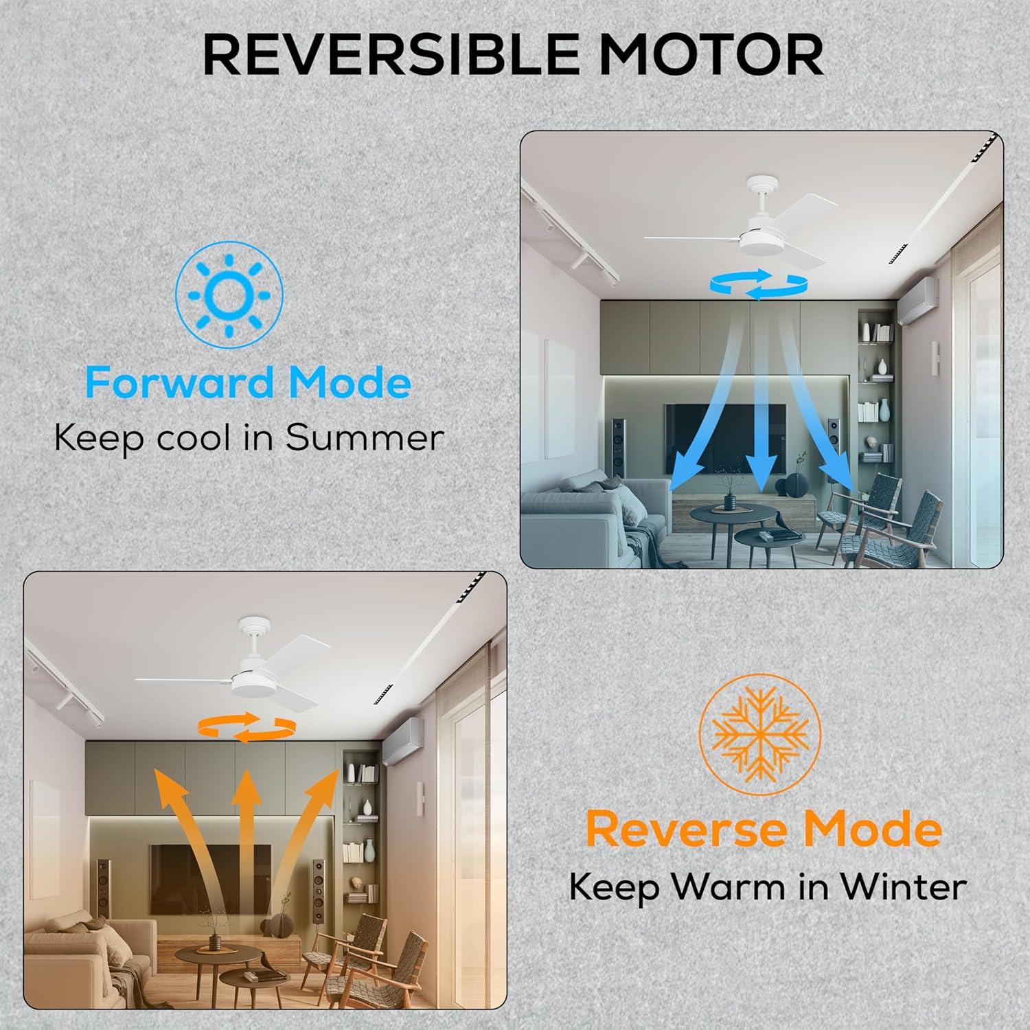 Ebie 52'' Ceiling Fan