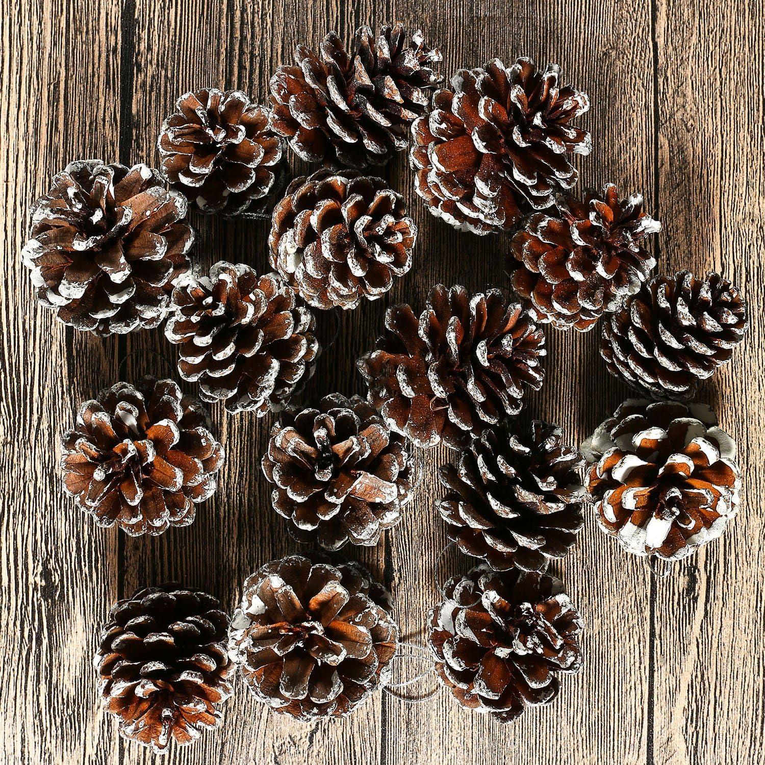 Natural Pinecones with White Tips and Silver String, 24 Pieces