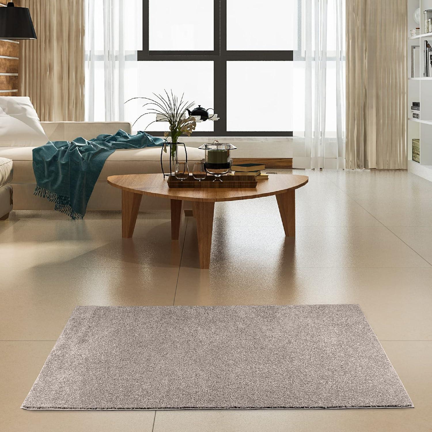 Furnish My Place Modern Plush Pet and Kids Friendly Solid Color Rust Area Rugs, Stain & Fade Resistance, Made in USA, Perfect for Living Room, Dining Room, Bedroom, Playroom and Kidsroom, Event, Wedding Rug