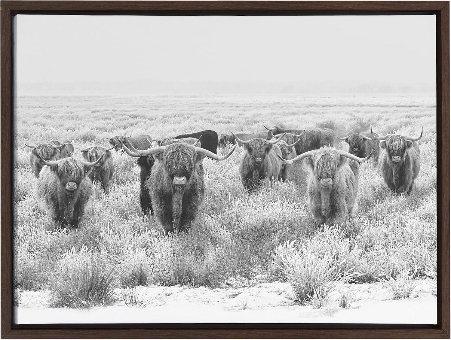 Herd of Highland Cows Black and White Canvas Print with Brown Frame