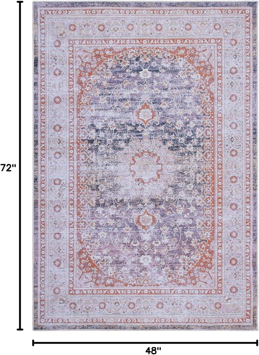 Serapi SEP550 Power Loomed Machine Washable Skid-Resistant Indoor Accent Rug - Grey/Light Grey - 4'x6' - Safavieh