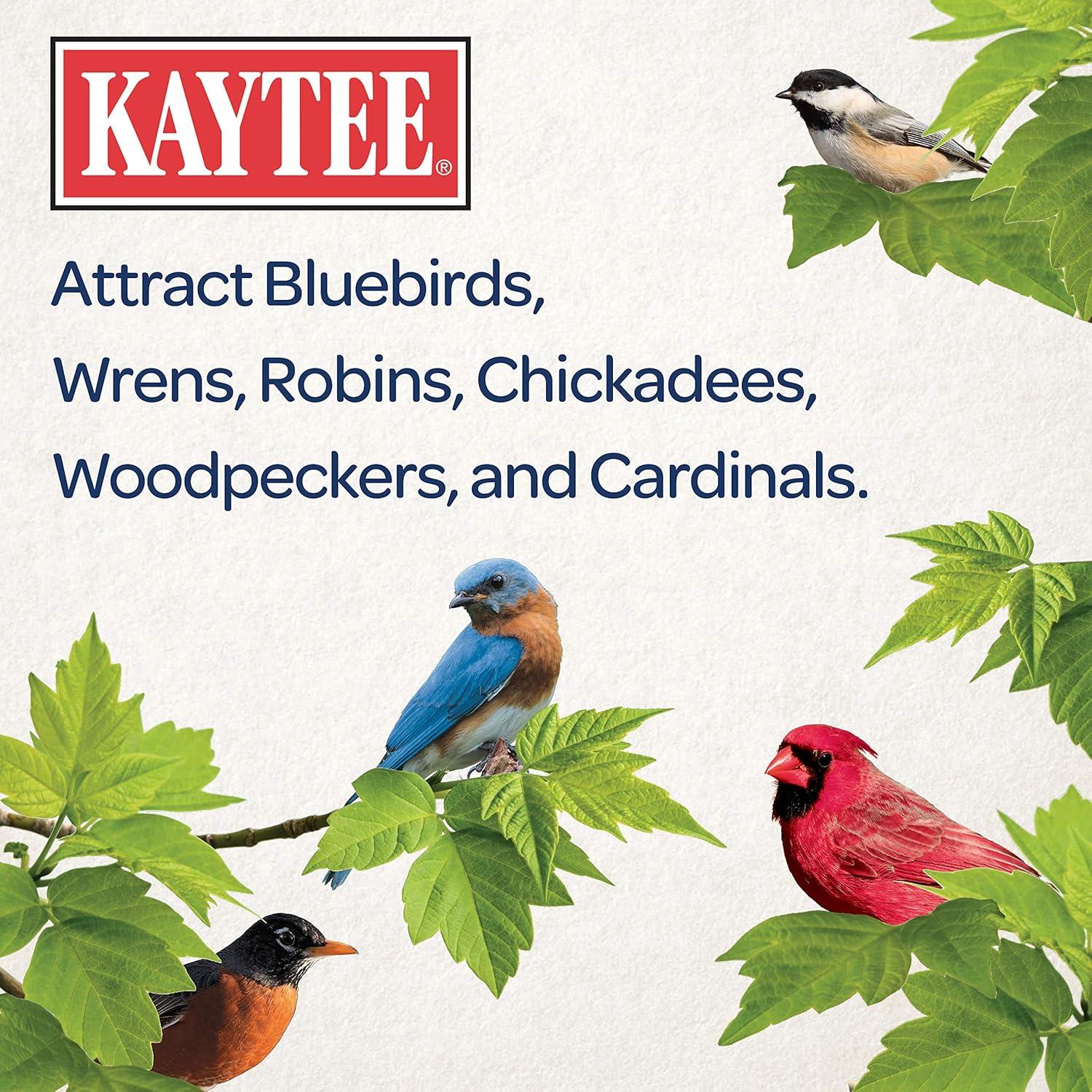 Kaytee Bluebird Dried Mealworm Mealworms 3.5 oz