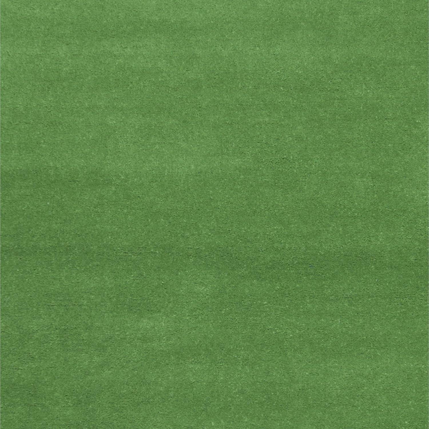 SAFAVIEH Kids Topher Play Grass Area Rug, Green/Multi, 3' x 5'