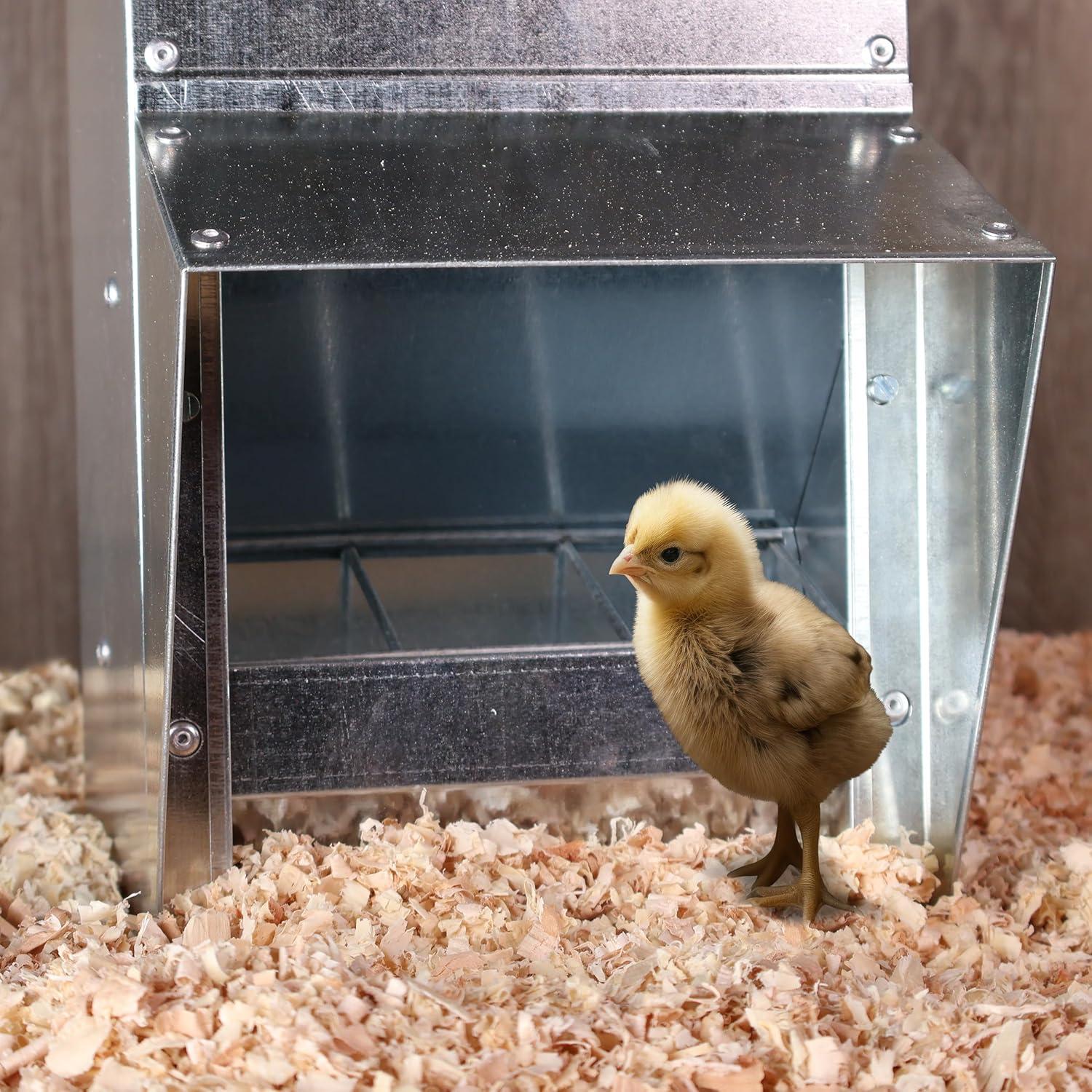 Rural365 11.5lb Capacity Galvanized Chicken Feeder Weatherproof Coop Dispenser