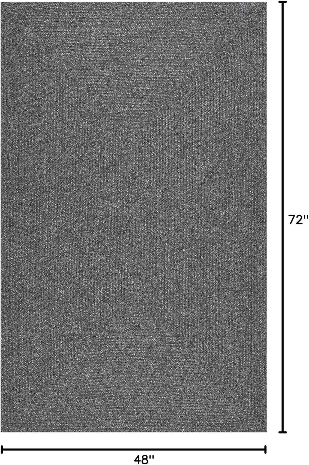 Lefebvre Casual Braided Charcoal 4 ft. x 6 ft. Indoor/Outdoor Patio Area Rug