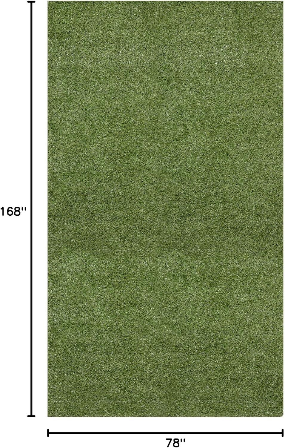 Waterproof Green 7x14 Indoor/Outdoor Artificial Grass Rug with Latex Backing