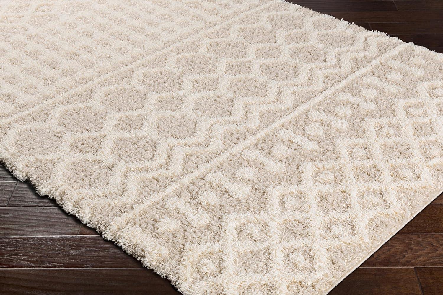 Ivory Rectangular Reversible Shag Rug, 5'3" x 7'3"