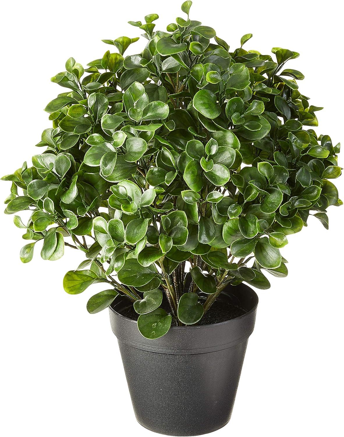 Nearly Natural 23 in. Peperomia Plant UV Resistant (Indoor/Outdoor)