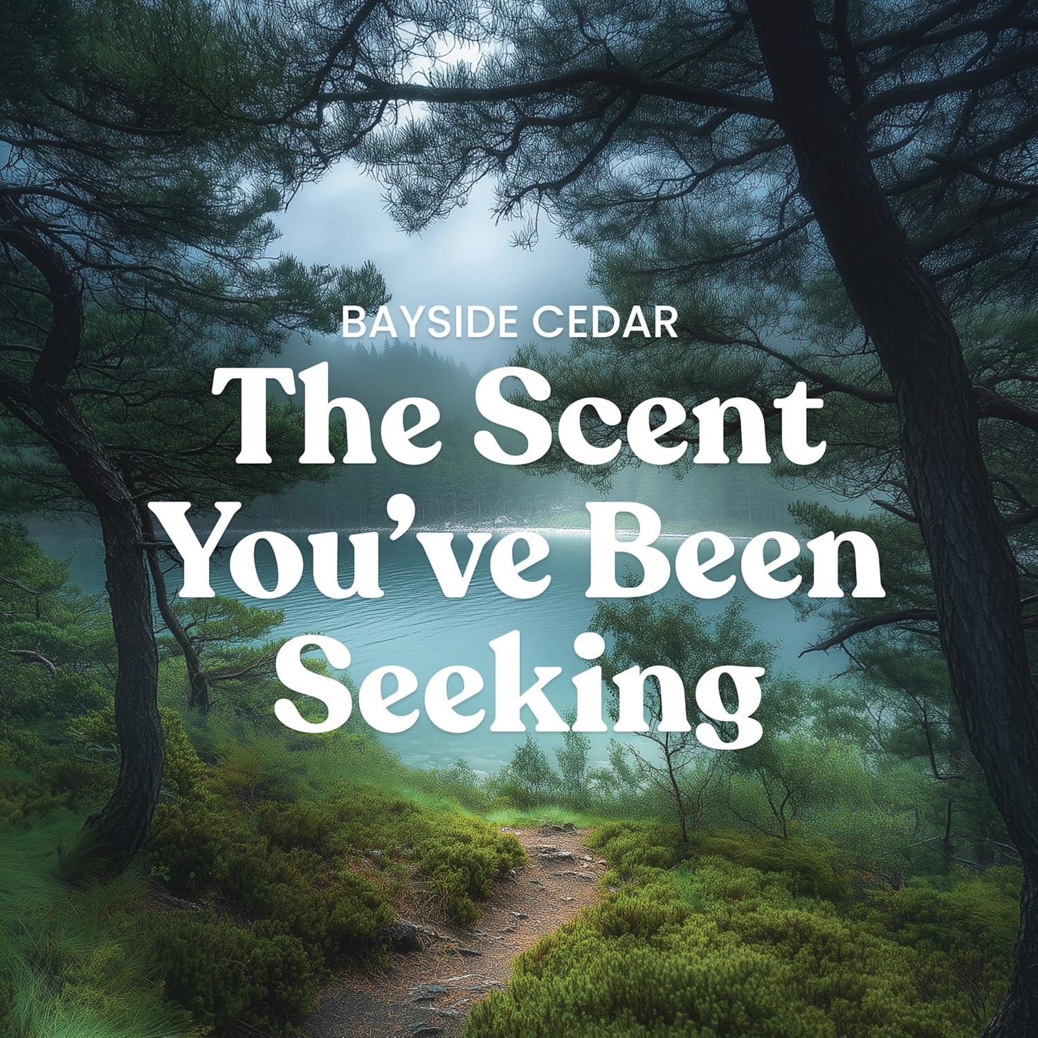 YANKEE CANDLE Signature Bayside Cedar Scented Tumbler Candle