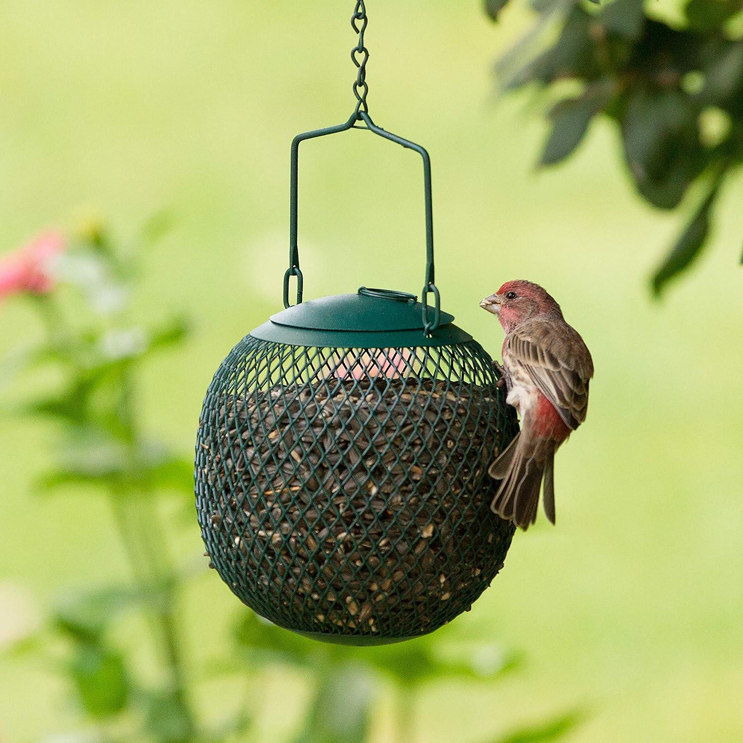 Perky-Pet Seed Ball Wild Bird Feeder - Green