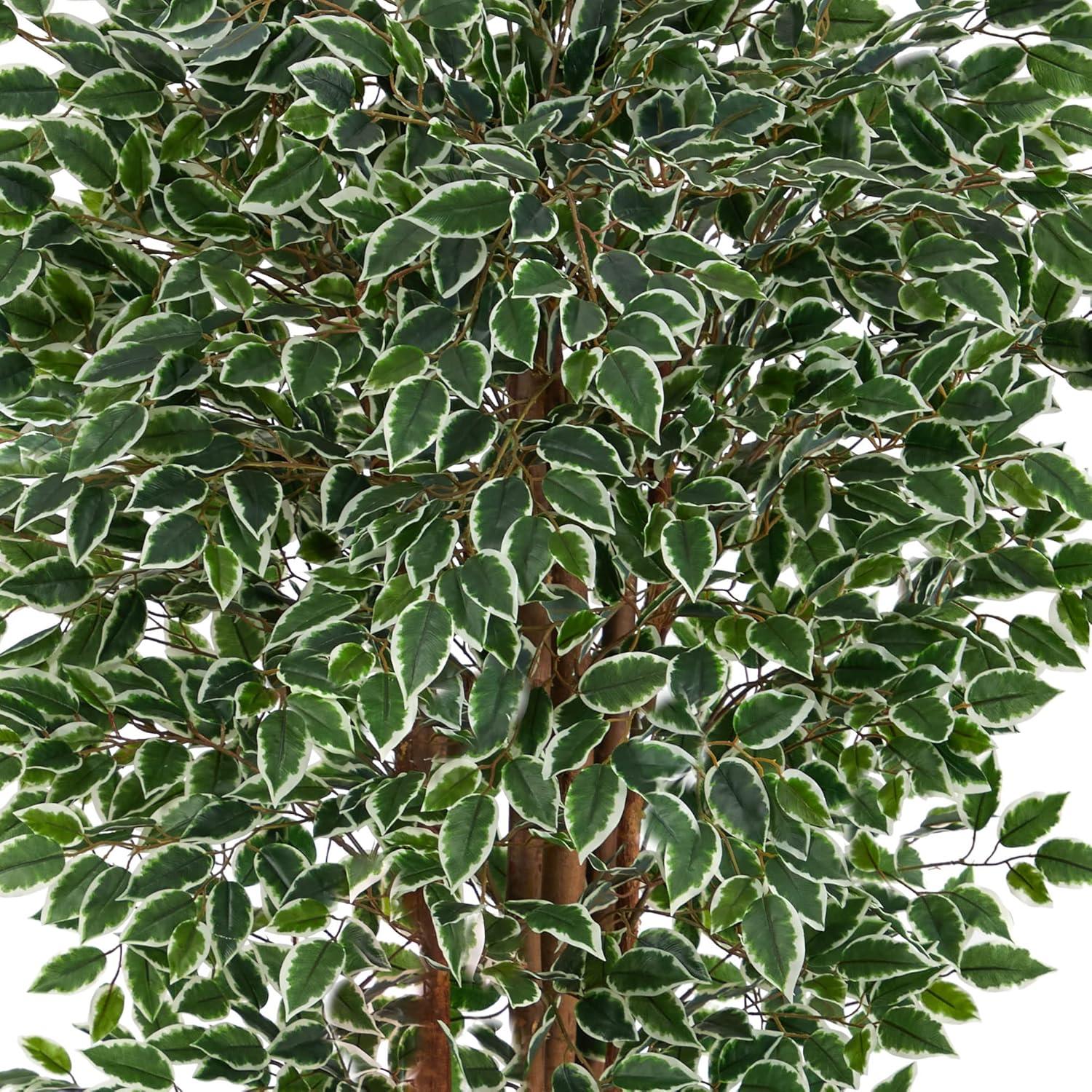 70” Variegated Ficus Artificial Tree UV Resistant (Indoor/Outdoor)