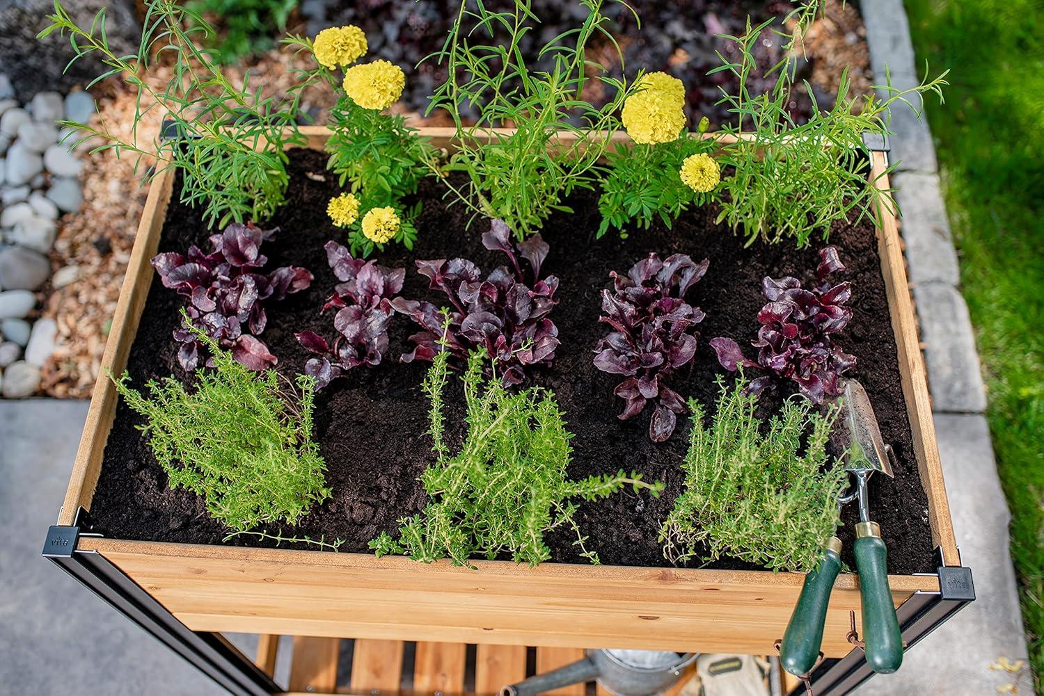 Mezza Cedar Raised Planter