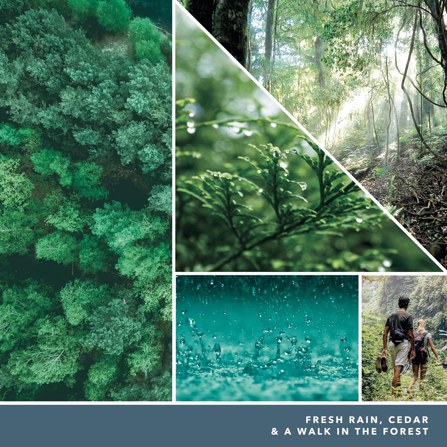 YANKEE CANDLE Signature Bayside Cedar Scented Tumbler Candle