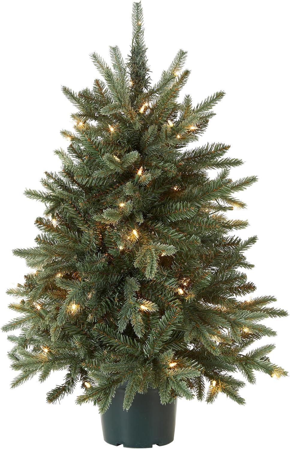 The Holiday Aisle® 3ft. Everyday Collection Potted Evergreen Tree with Clear Lights