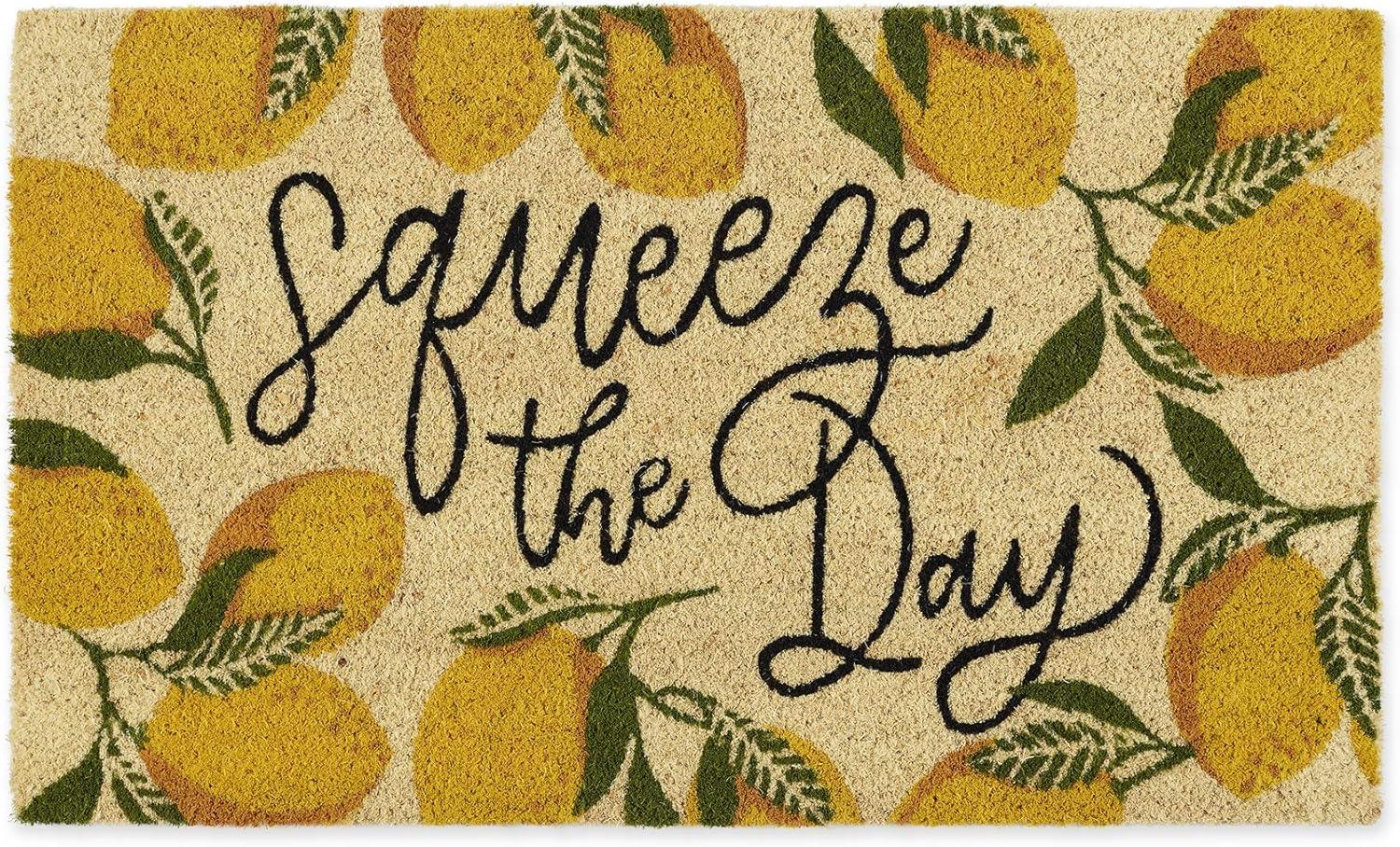 DII Natural Coir Doormat, Fun Greeting Mat, Squeeze The Day, 17x29"