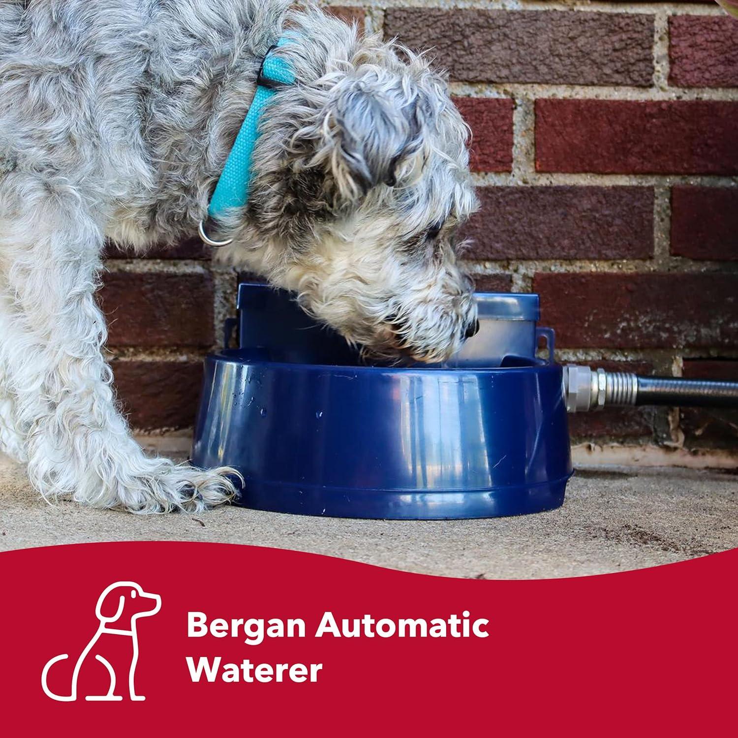 Coastal Pet Bergan Auto-Wata - Backyard & Patio Automatic Water Bowl - Navy - 1.5 qts / 48 oz