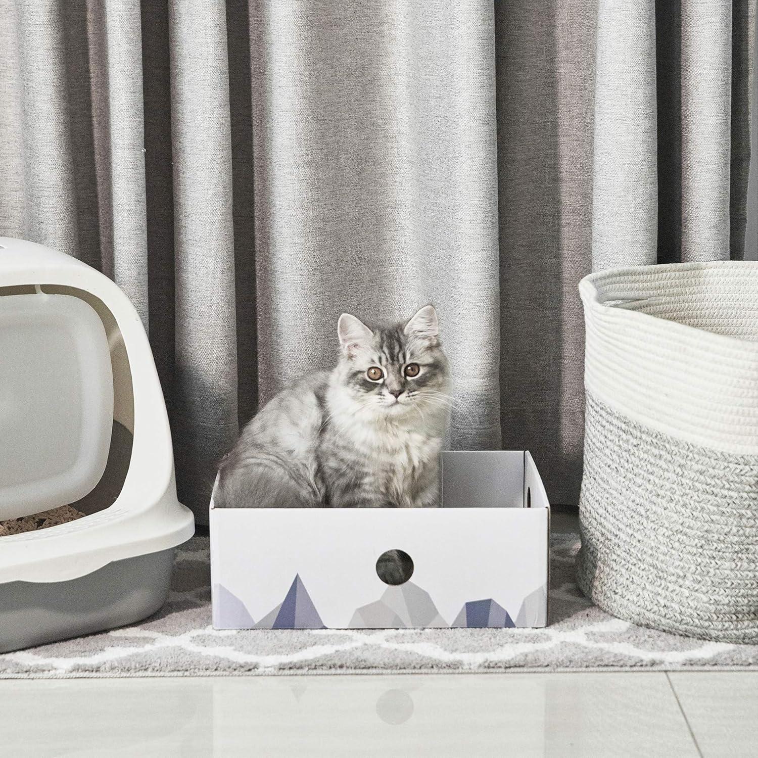 Conlun Cat Scratcher Cardboards with Box, 5-Pack Replacement Reversible Cat Scratcher Pad, Large