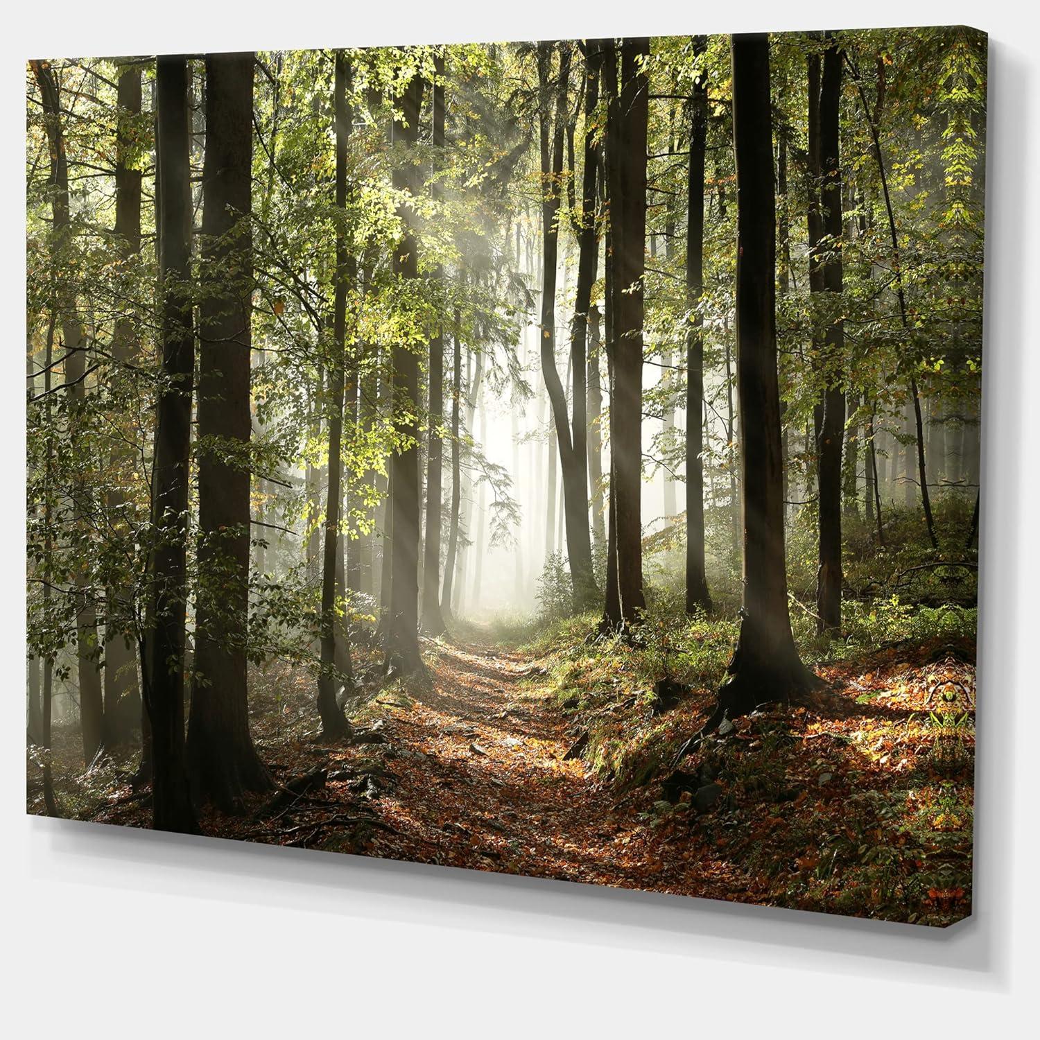 Green Fall Forest with Sun Rays Canvas Print