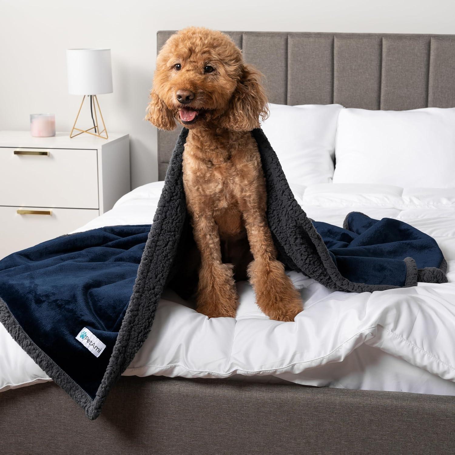 PetAmi Outdoor Pet Blanket