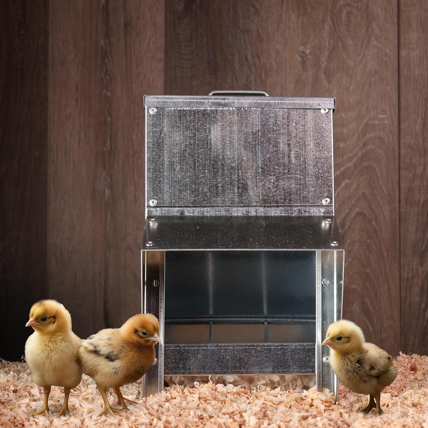 Rural365 11.5lb Capacity Galvanized Chicken Feeder Weatherproof Coop Dispenser