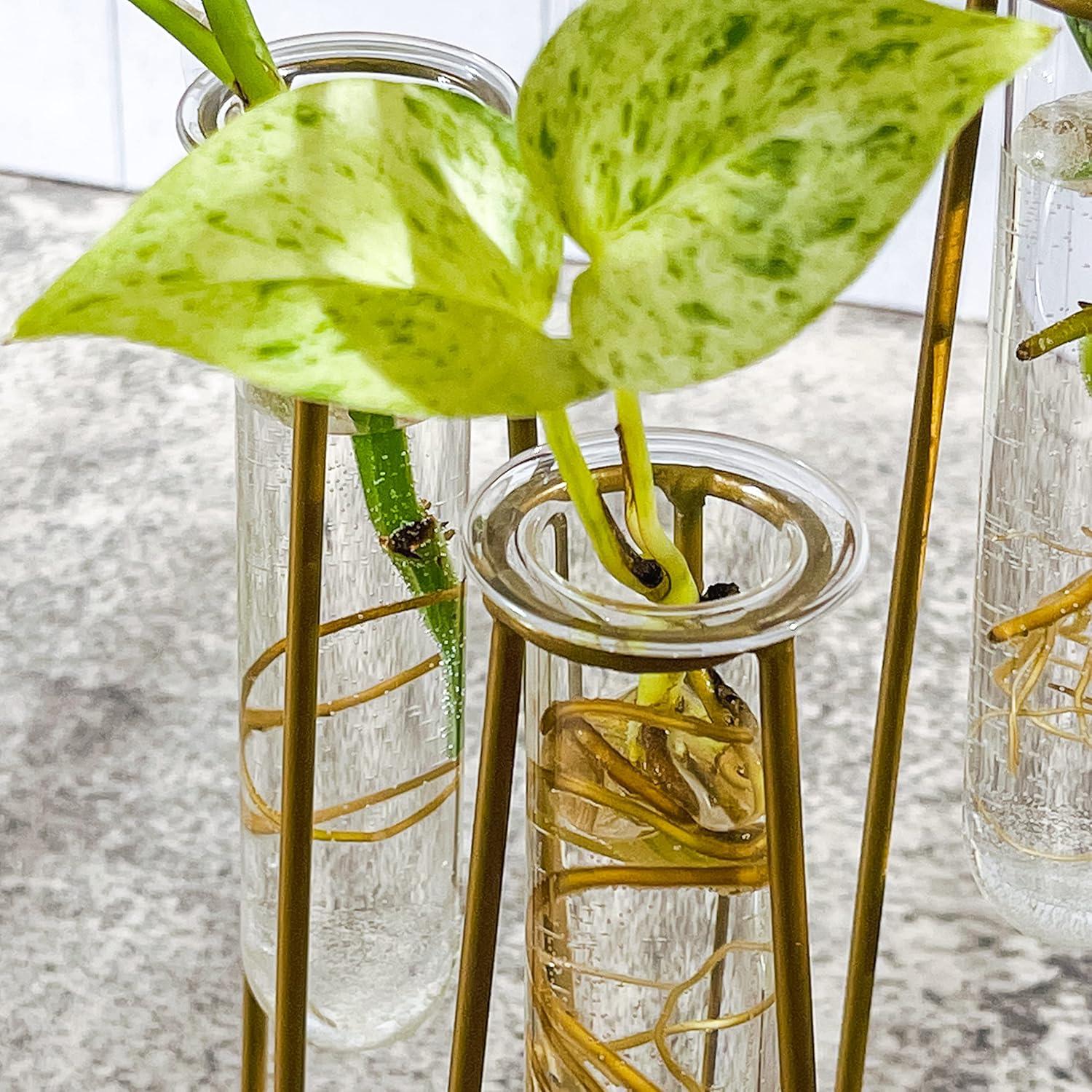 Propagation Station Terrariums with Gold Metal Stand - Kate Aspen | 3 Glass Test Tube Planters for Indoor Plants, Air Plants, Plant Clippings, Herbs, Succulents | Home Decor and Table Decoration