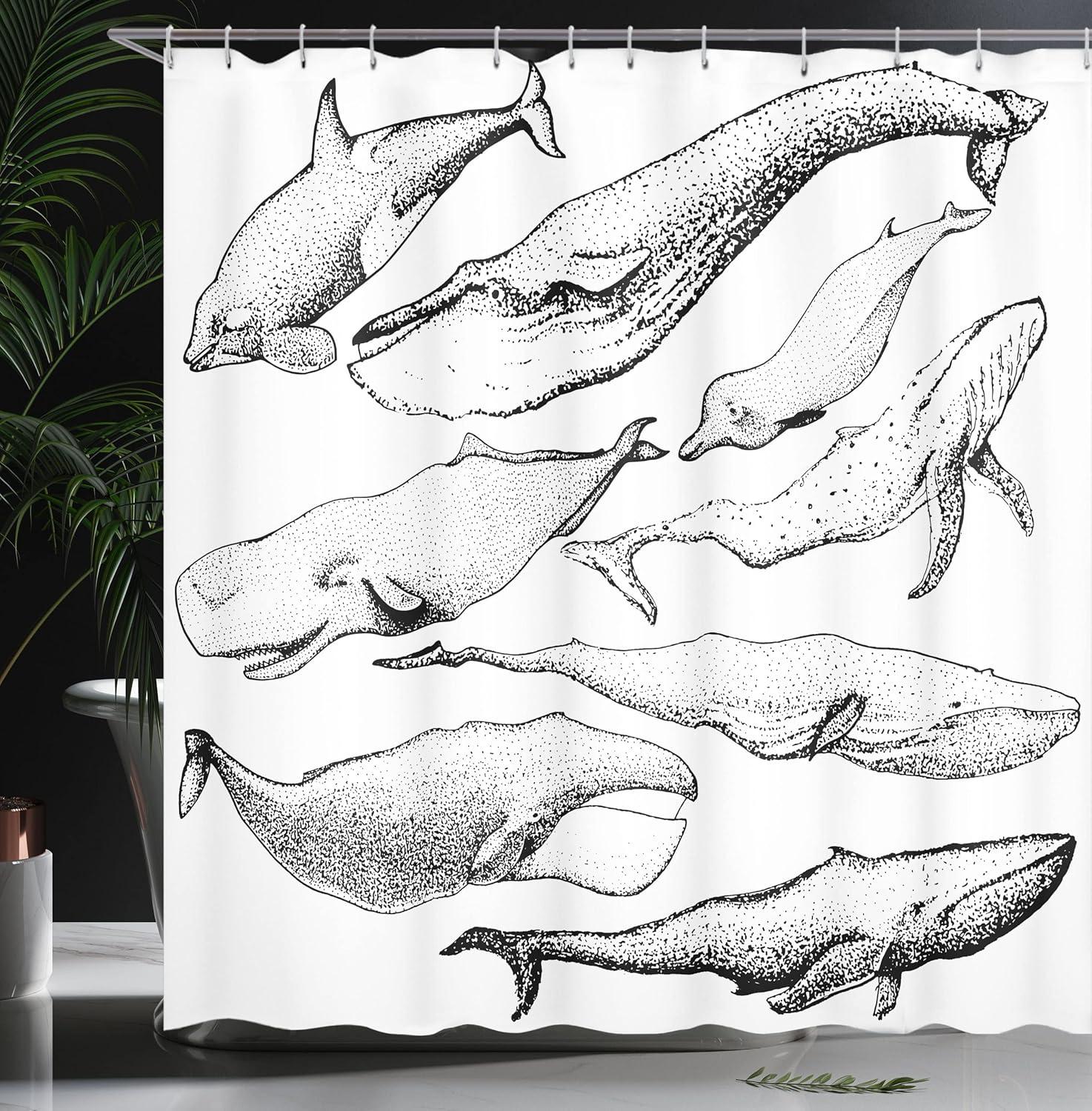 Ambesonne Animal Shower Curtain, Hand Drawn Single Whale, 69"Wx84"L, Black and White