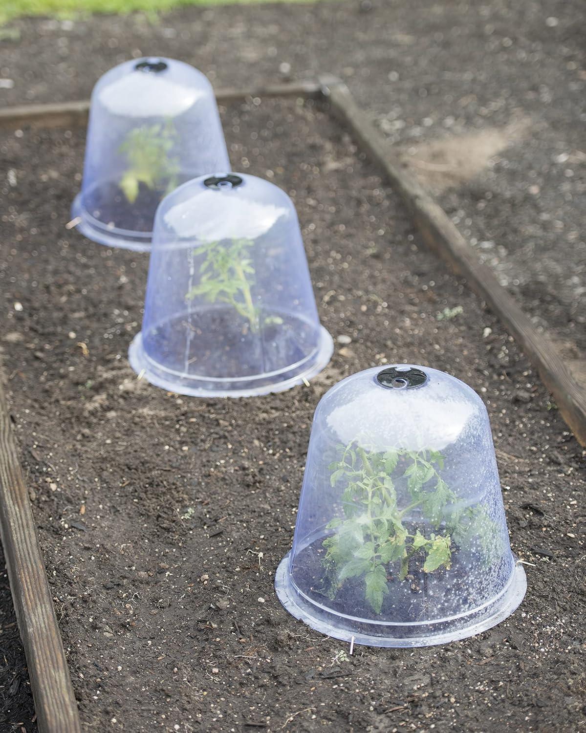 Gardeners Supply Company Large Garden Cloche Plant Protector | Clear Sturdy PVC Plants Bell Dome Heat & Freeze Cover with Top Hole Ventilation for