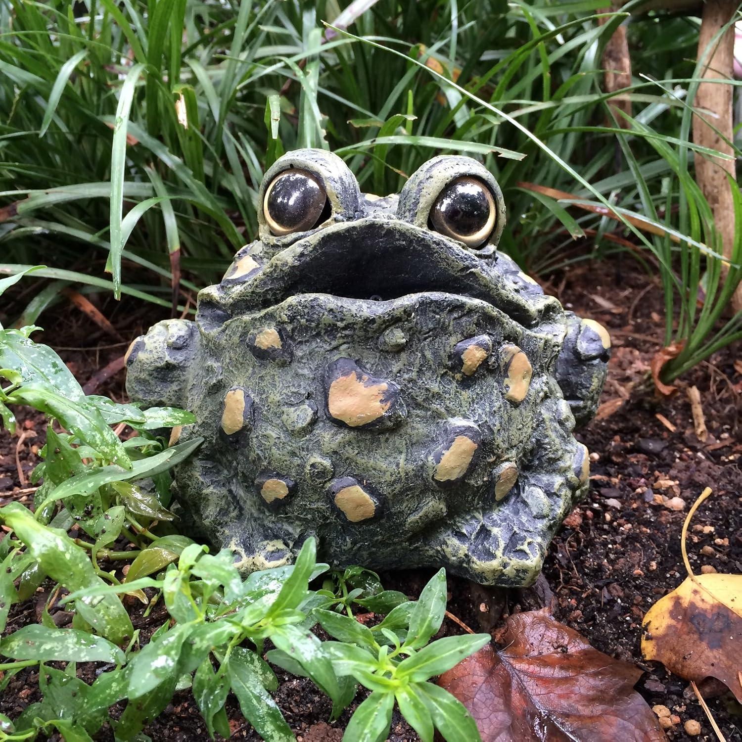 Drevy Croaking Toad Statue