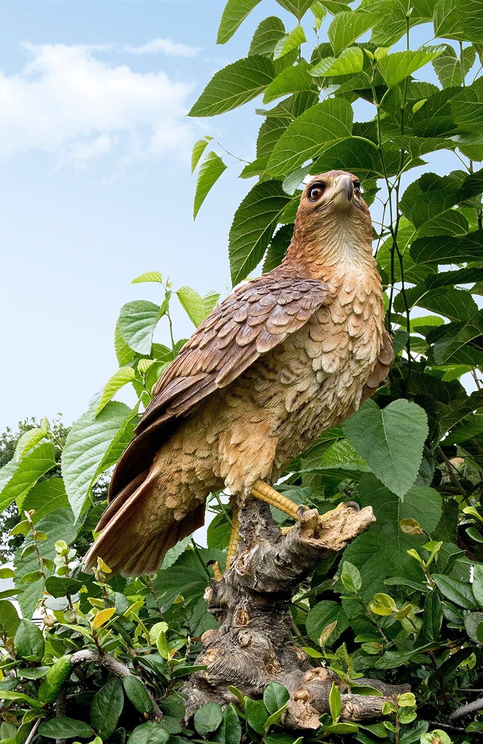 Hand-Painted Polyresin Hawk on Branch Garden Statue