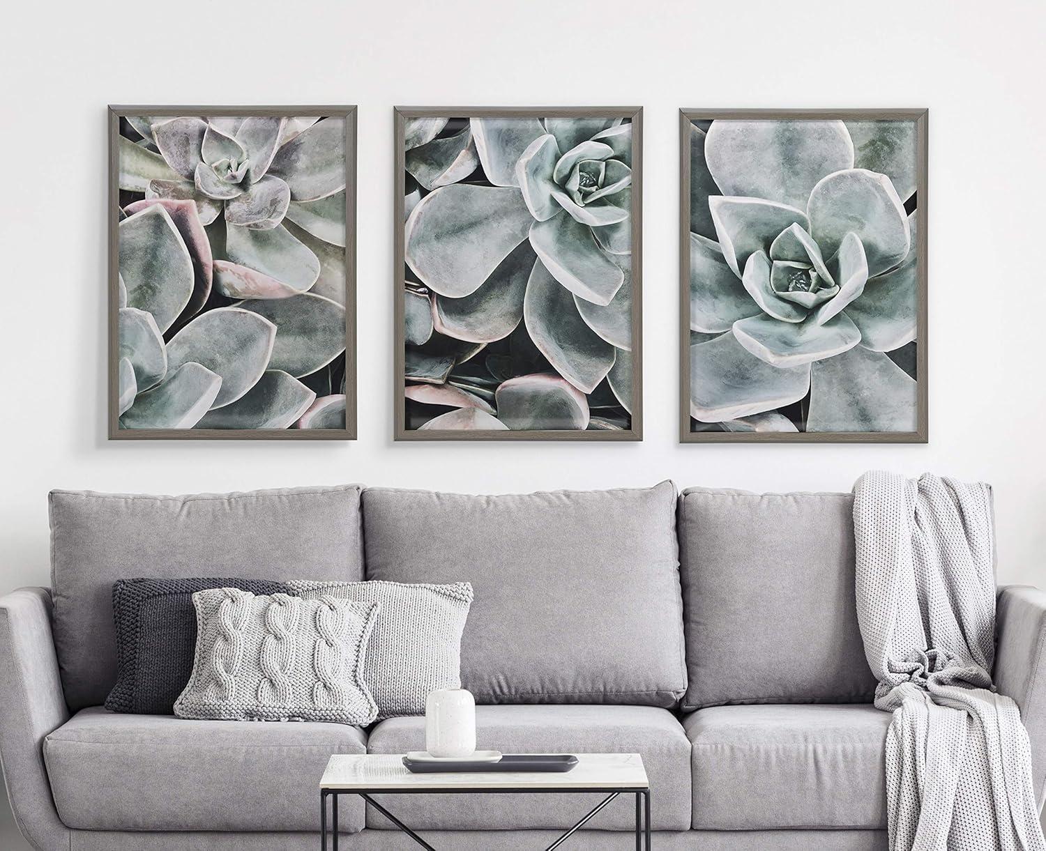 18" x 24" Blake Botanical Succulent Plants 2 Framed Printed Glass by the Creative Bunch Studio Gray - Kate & Laurel All Things Decor