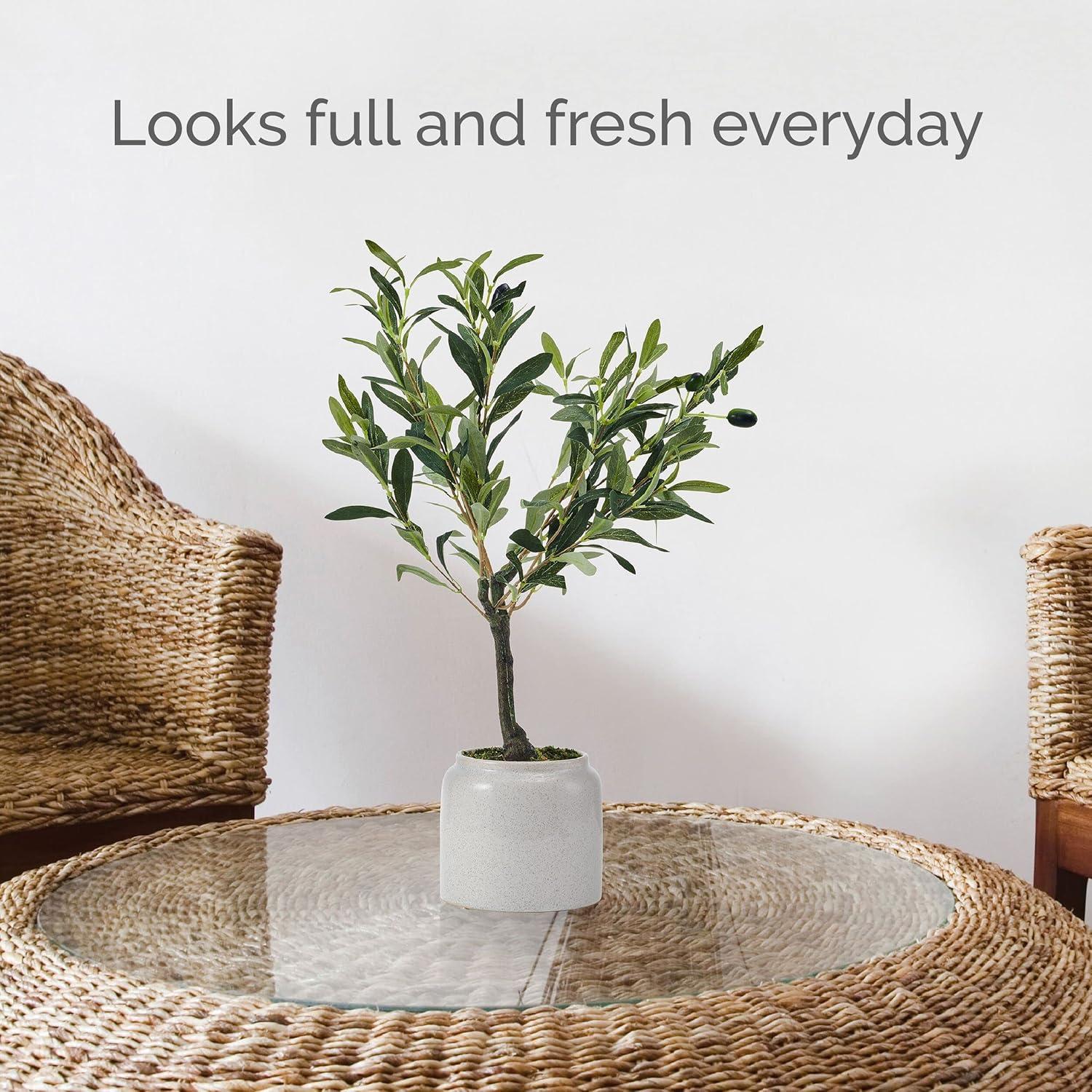 Elements 21.5 in. Artificial Olive Tree Plant in Pot