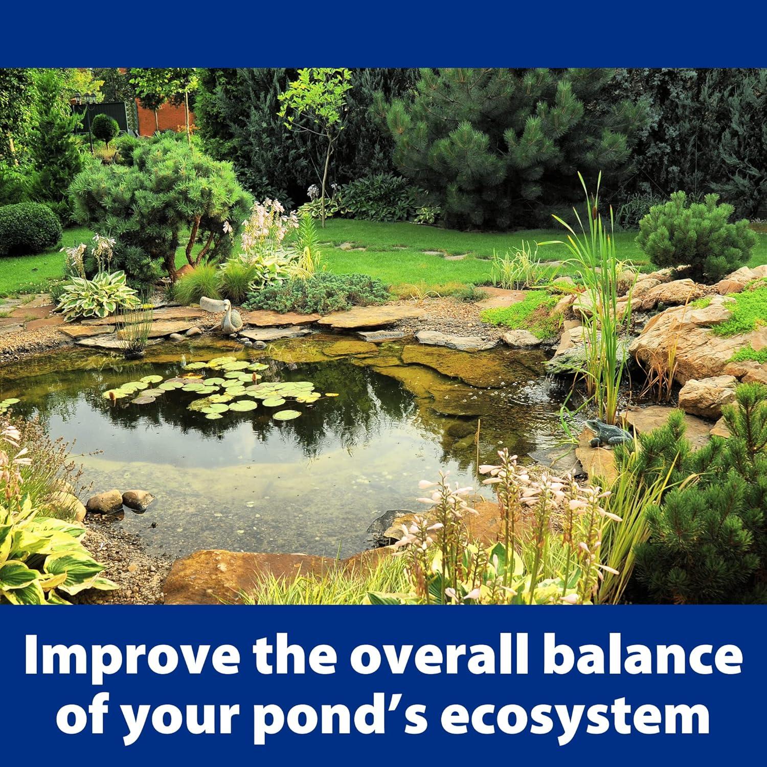The Pond Guy AllClear G2 Bio Pressure Filter & Ultraviolet Light Clarifier with Backflush System, Pressurized External UVC Biological & Mechanical Filtration, Koi Fish Water Garden, All Clear 2000
