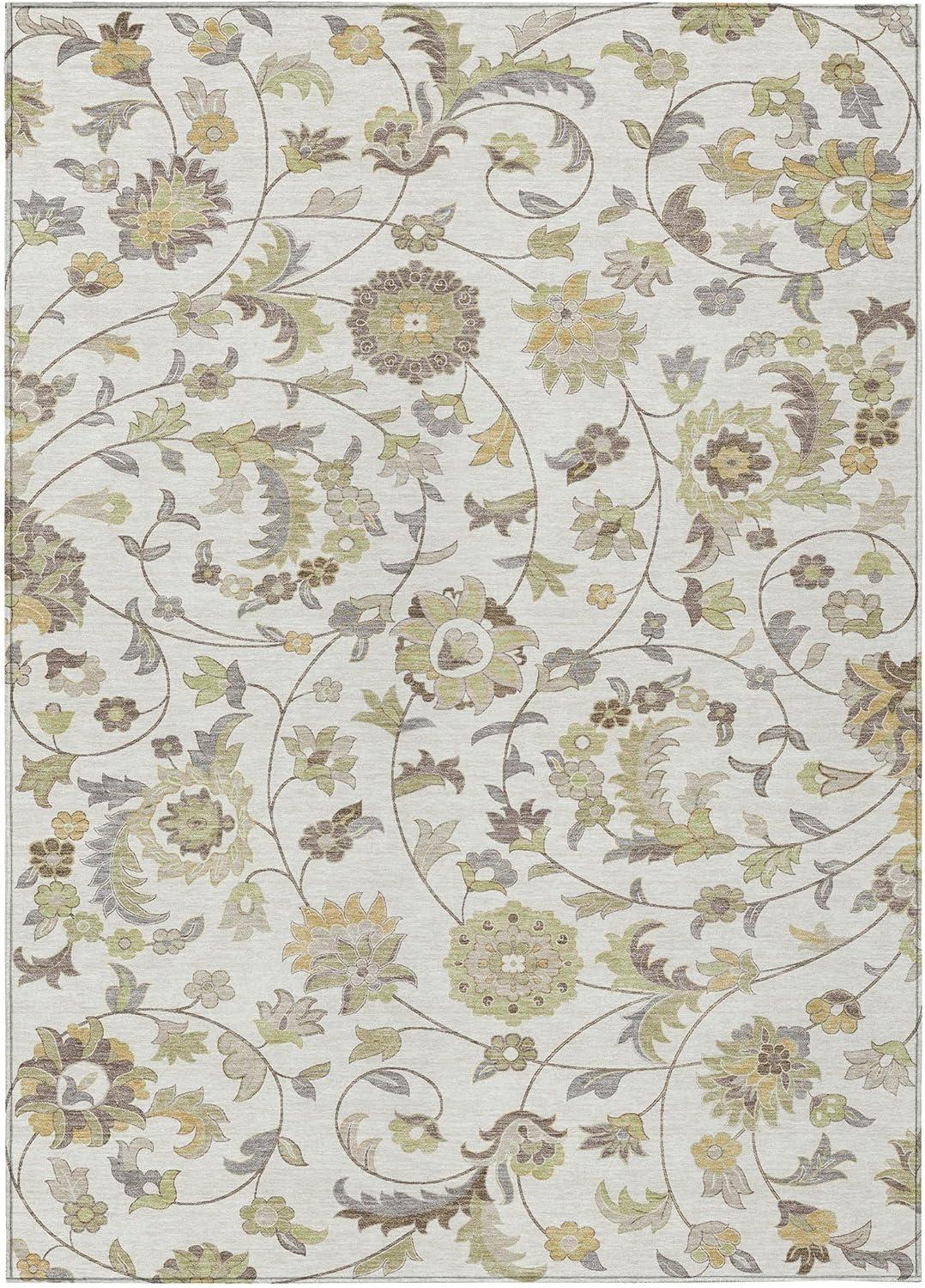 Machine Washable Indoor/Outdoor Chayden ACN1006 Ivory Rug