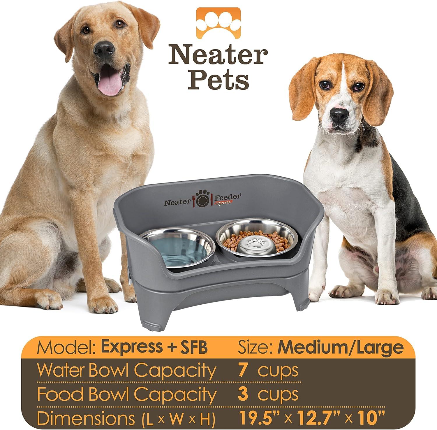 Gray Elevated Stainless Steel Pet Feeder with Slow Feed Bowl